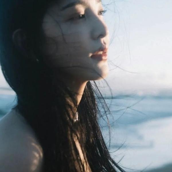 沉默的伙伴